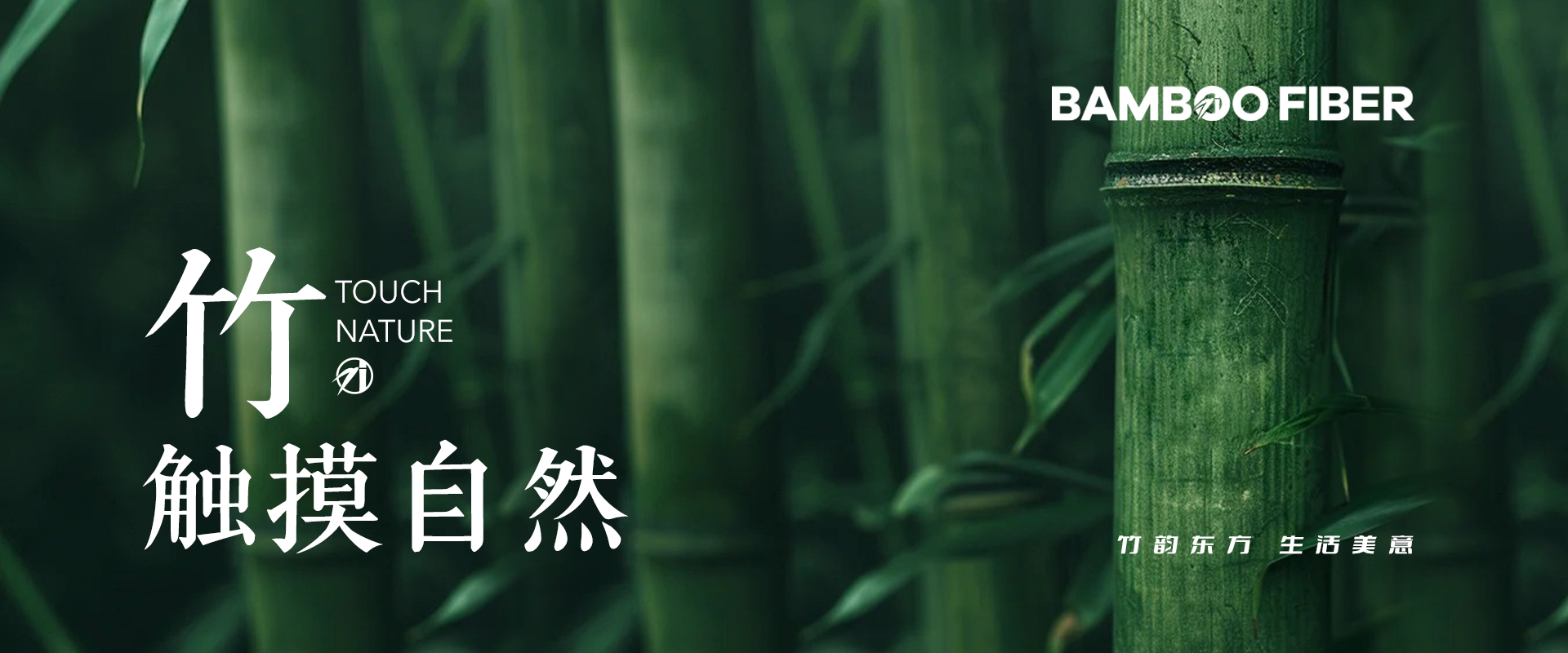 易优模板库